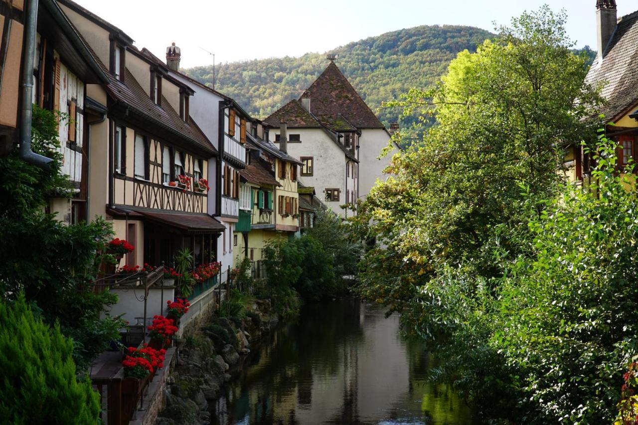 Gite Du Xve Kaysersberg-Vignoble Exterior foto